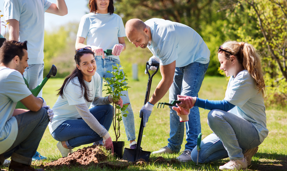 shutterstock_428932453