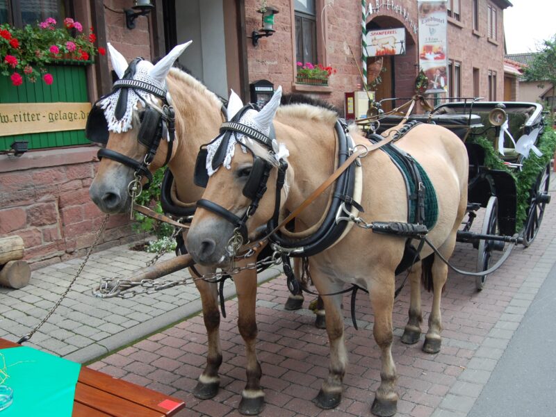 Kutschfahrt