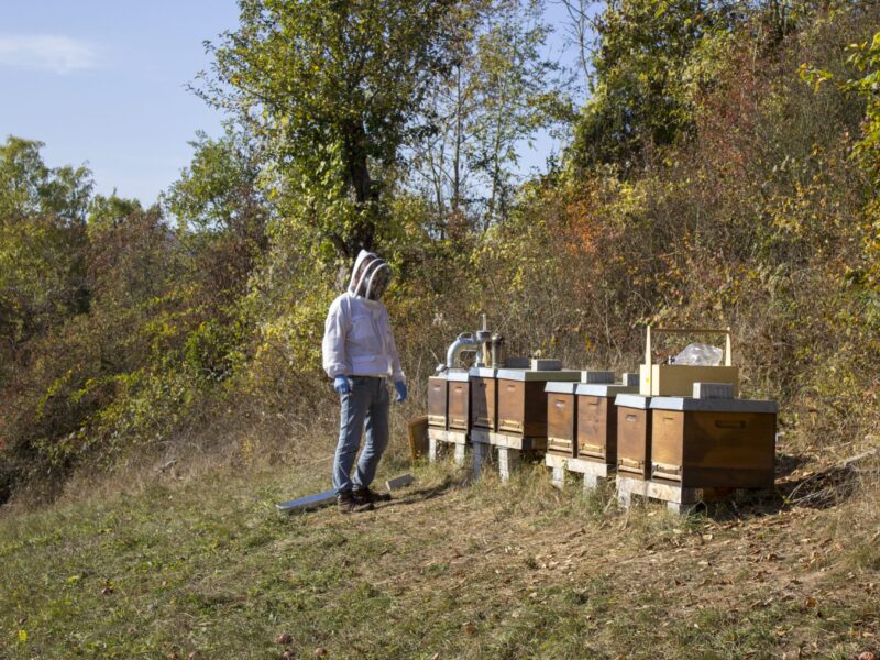 Bee happy Natur und Bienen glücklich machen