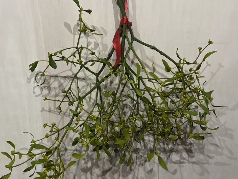 Mistelzweige und Kronen sowie Liebe ohne Ende