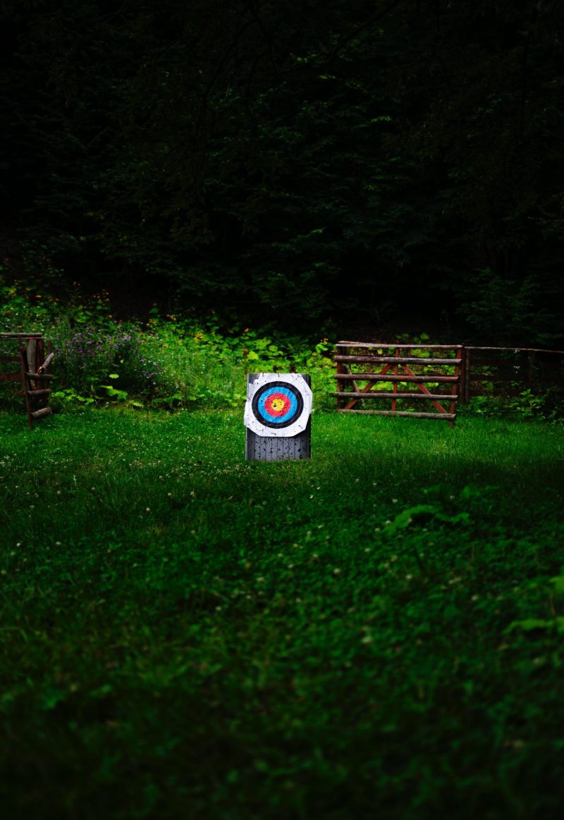white and multicolored target board on green field